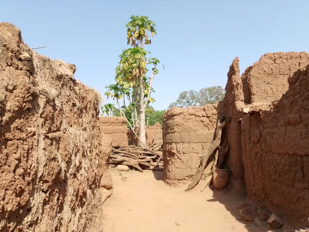 L’Habitat traditionnel bobo du village de KOUMI